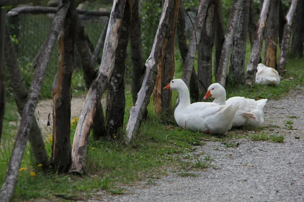 Albergo Lago Verde Pennabilli 3*,  Italië